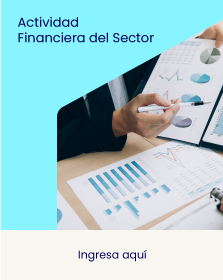 Información para Entidades Financieras